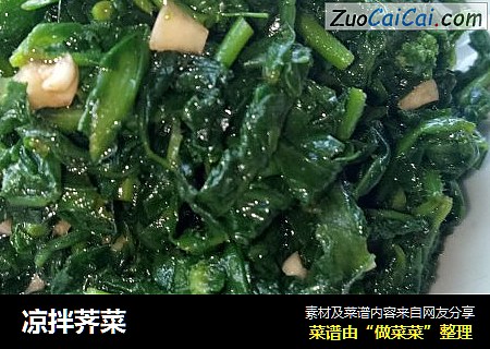 凉拌荠菜