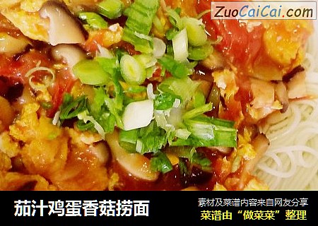 茄汁鸡蛋香菇捞面
