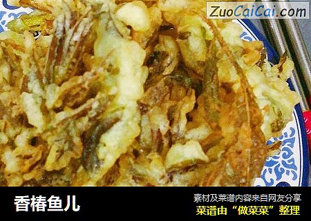 香椿鱼儿