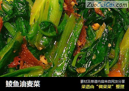鲮鱼油麦菜