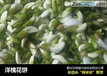 洋槐花饼