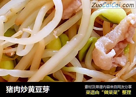 猪肉炒黄豆芽