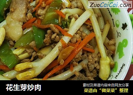 花生芽炒肉