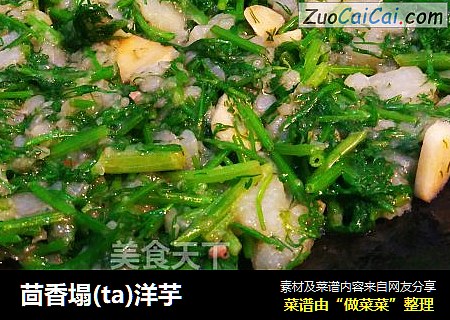 茴香塌(ta)洋芋