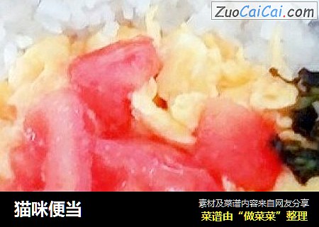猫咪便当