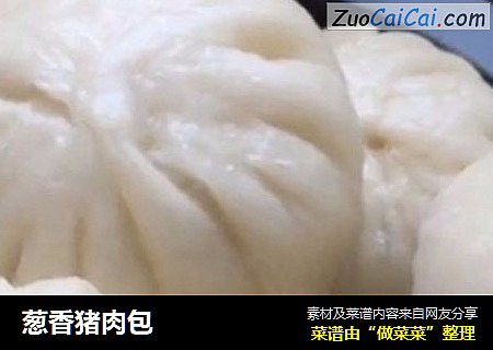 葱香猪肉包