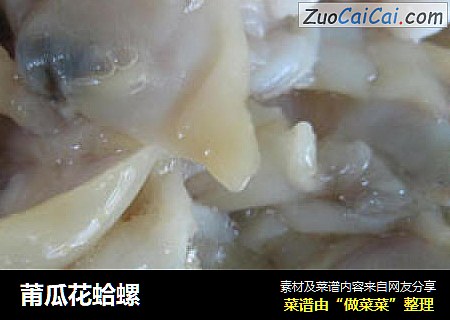 莆瓜花蛤螺
