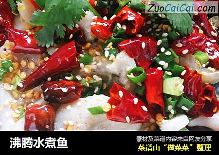沸腾水煮鱼