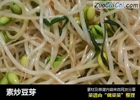 素炒豆芽