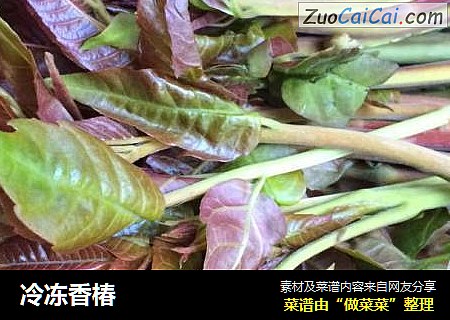 冷冻香椿