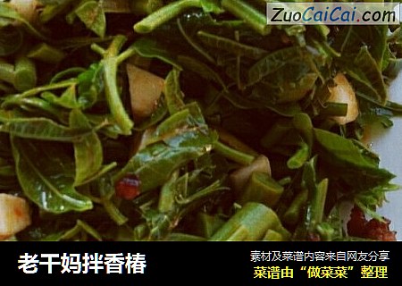 老干妈拌香椿