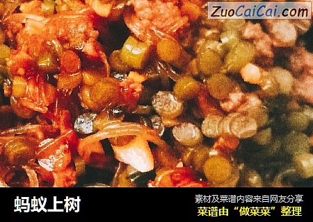 蚂蚁上树