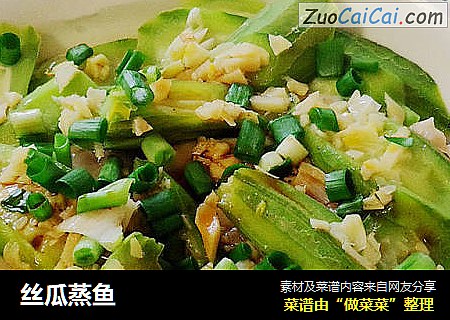 丝瓜蒸鱼