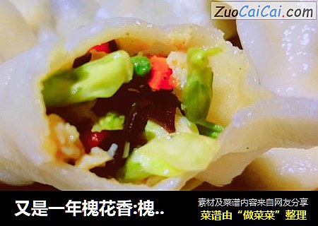 又是一年槐花香:槐花饺子