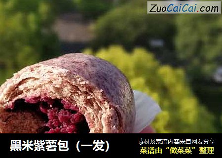 黑米紫薯包（一发）