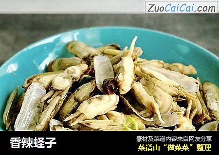 香辣蛏子