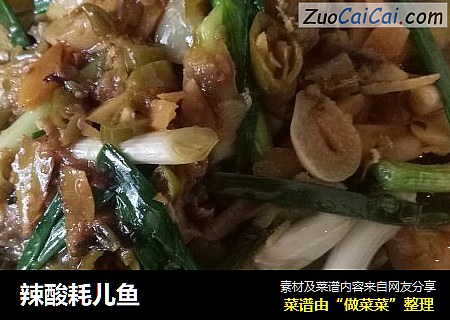 辣酸耗儿鱼