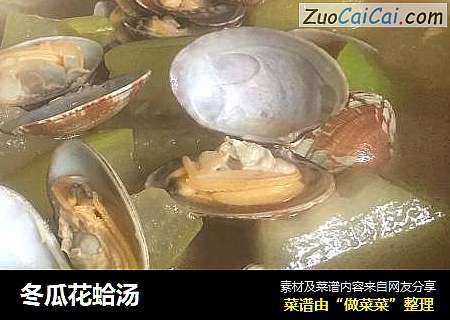 冬瓜花蛤汤