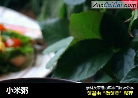小米粥