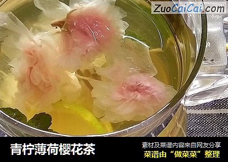 青柠薄荷樱花茶