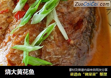烧大黄花鱼