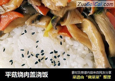 平菇烧肉盖浇饭