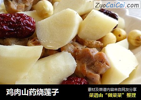 鸡肉山药烧莲子