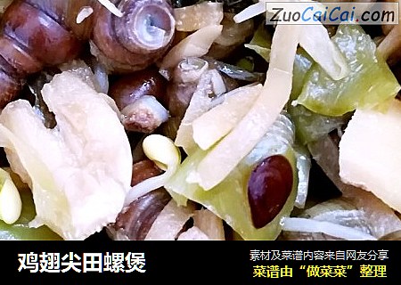 鸡翅尖田螺煲