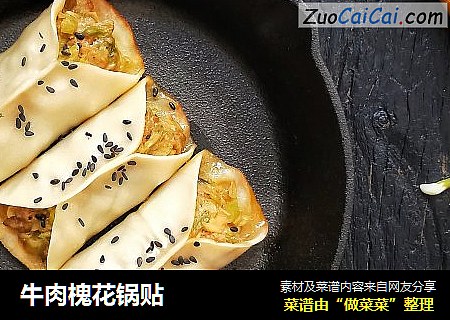 牛肉槐花锅贴