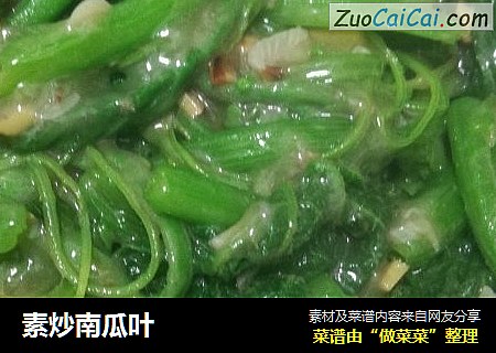 素炒南瓜叶