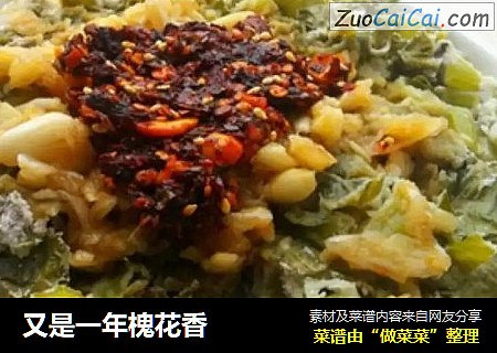 又是一年槐花香