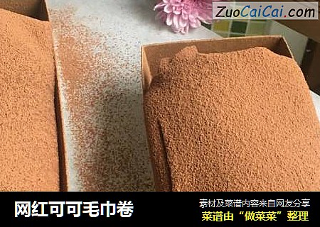 网红可可毛巾卷