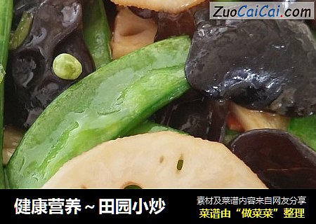 健康营养～田园小炒