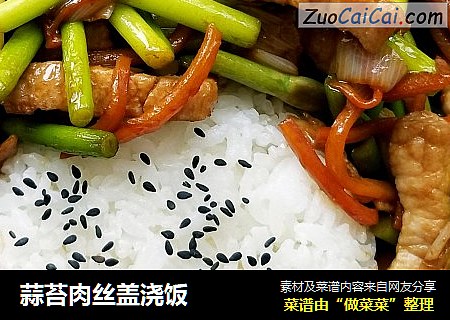 蒜苔肉丝盖浇饭