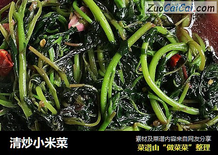 清炒小米菜