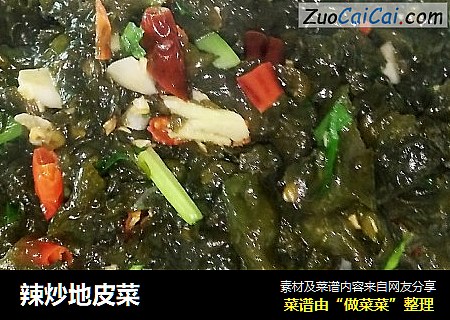 辣炒地皮菜