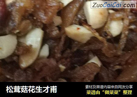 松茸菇花生才甫