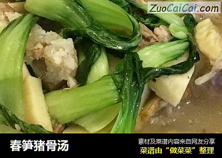 春笋猪骨汤