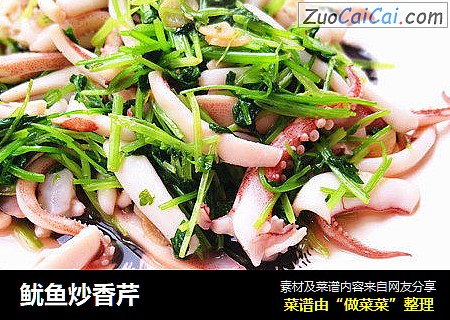 鱿鱼炒香芹