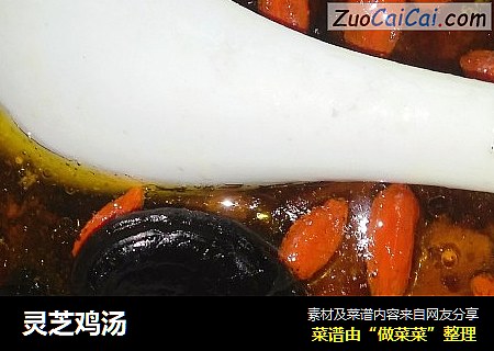 灵芝鸡汤