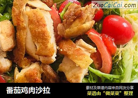 番茄鸡肉沙拉