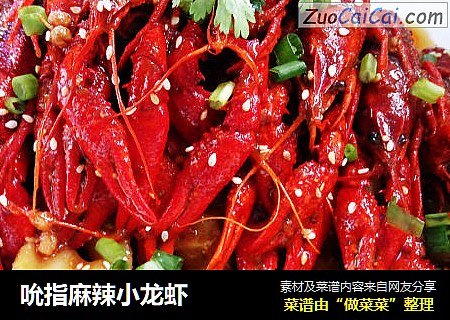 吮指麻辣小龙虾