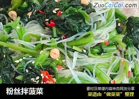 粉丝拌菠菜