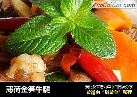 薄荷金笋牛腱