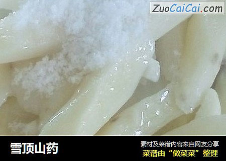 雪顶山药