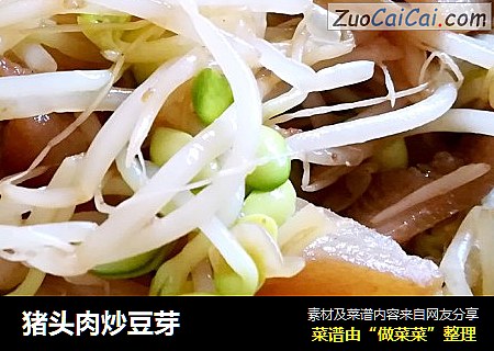 猪头肉炒豆芽