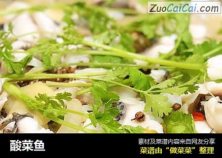 酸菜鱼