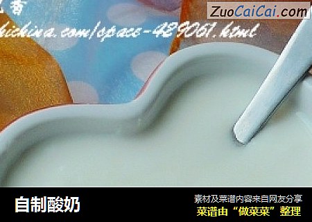 自制酸奶
