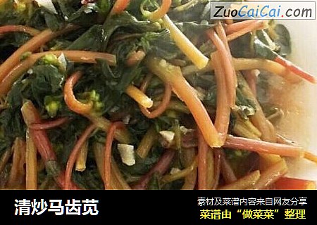 清炒马齿苋