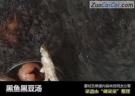 黑鱼黑豆汤